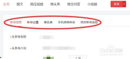 怎么找到头条用户号,轻松找到头条用户号，解锁互动新方式